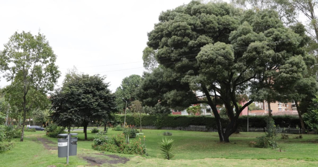 Bosque urbano en Bogotá con árboles, césped, sendero y canecas