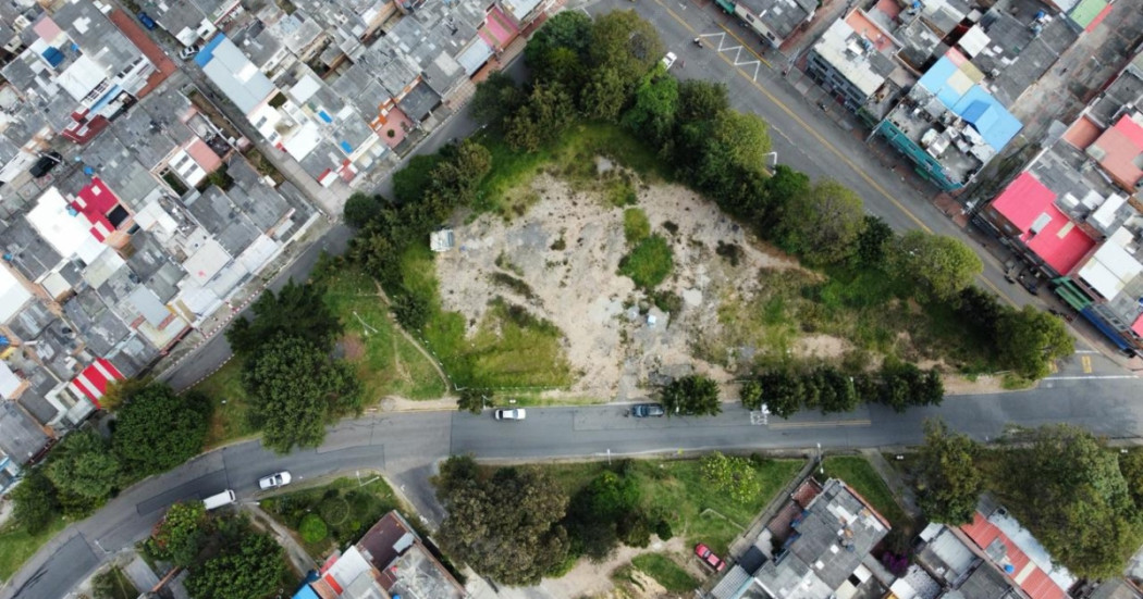 Foto que muestra árboles y una vía con carros andando 