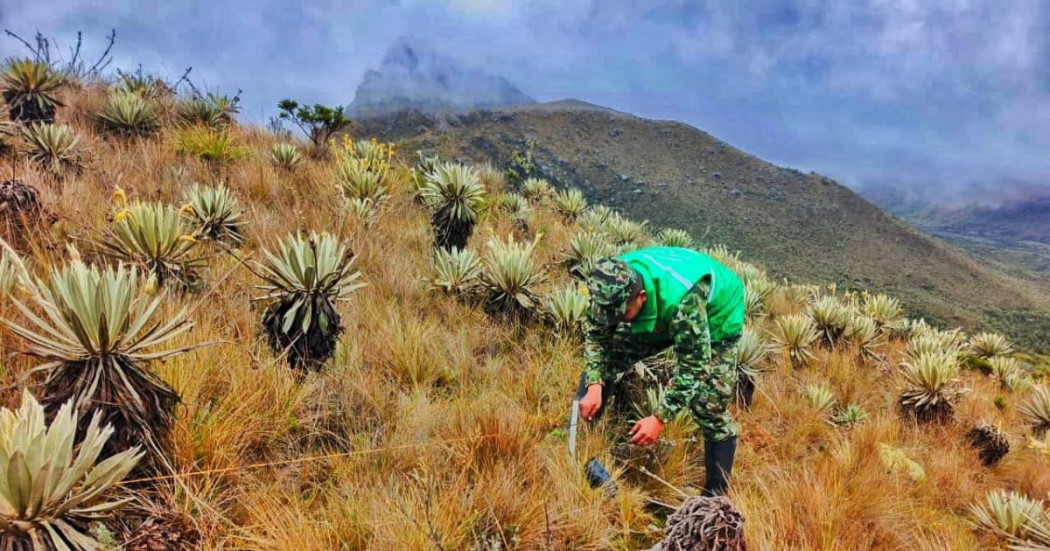 Soldado del Ejército Nacional en un páramo.