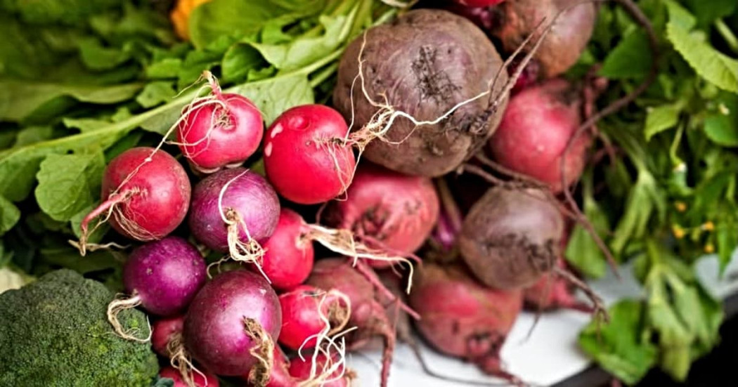 Rábanos y remolachas frescas con hojas verdes dispuestas sobre superficie clara para preparación gastronómica