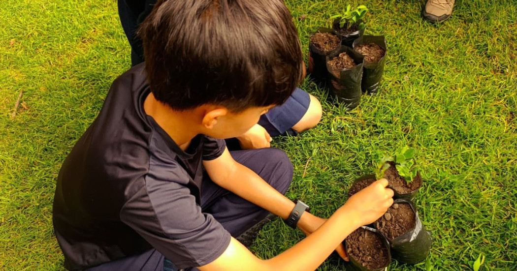 Niño participa en actividad de siembra de plántulas sobre césped en jornada ambiental en Engativá