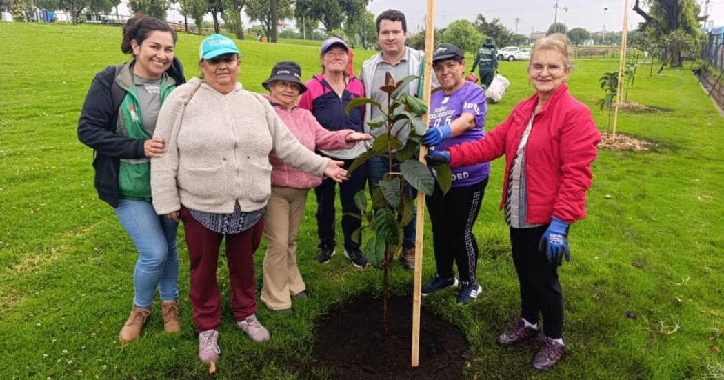 Grupo comunitario participa en siembra de árbol joven durante jornada ambiental en parque de Kennedy