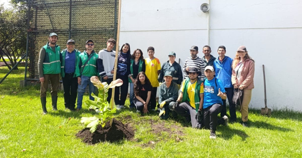 Grupo participa en plantación de magnolios nativos en espacio público de Bogotá