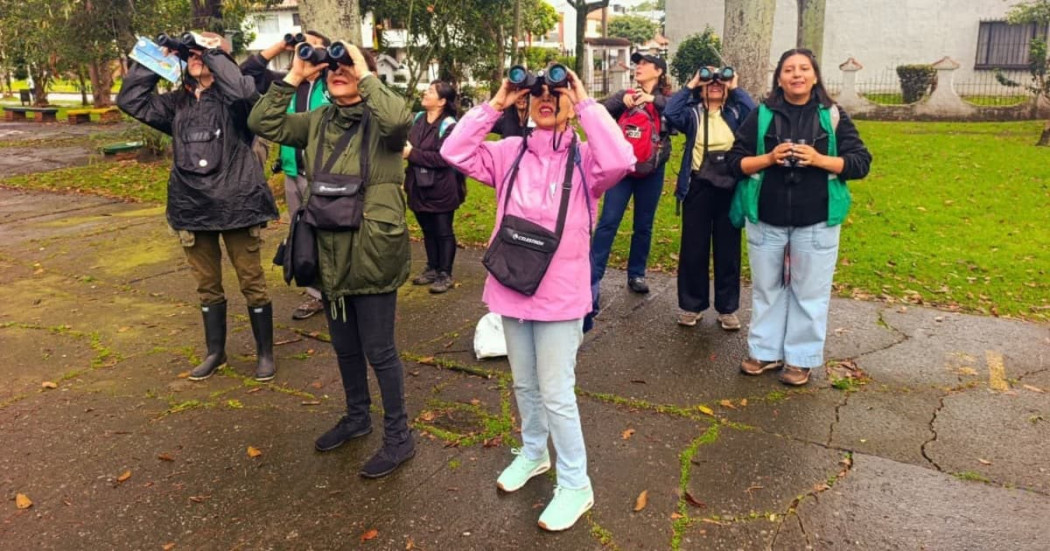 Participantes observan aves con binoculares durante actividad comunitaria en parque de Bogotá
