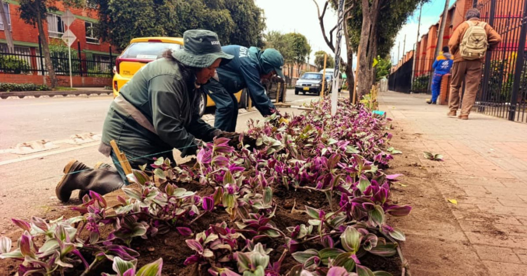 Personal del Jardín Botánico siembra plantas ornamentales en andén urbano del Tintal