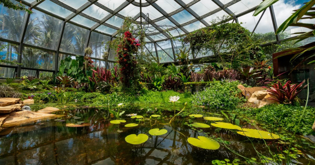 Interior del Tropicario del Jardín Botánico de Bogotá con estanque y plantas