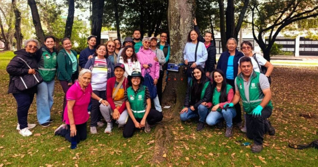 Grupo comunitario participa en tomografía arbórea junto a árbol en Fontibón