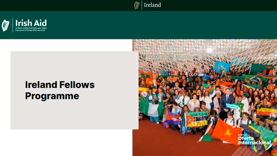 Becas de maestría del Gobierno de Irlanda para profesionales