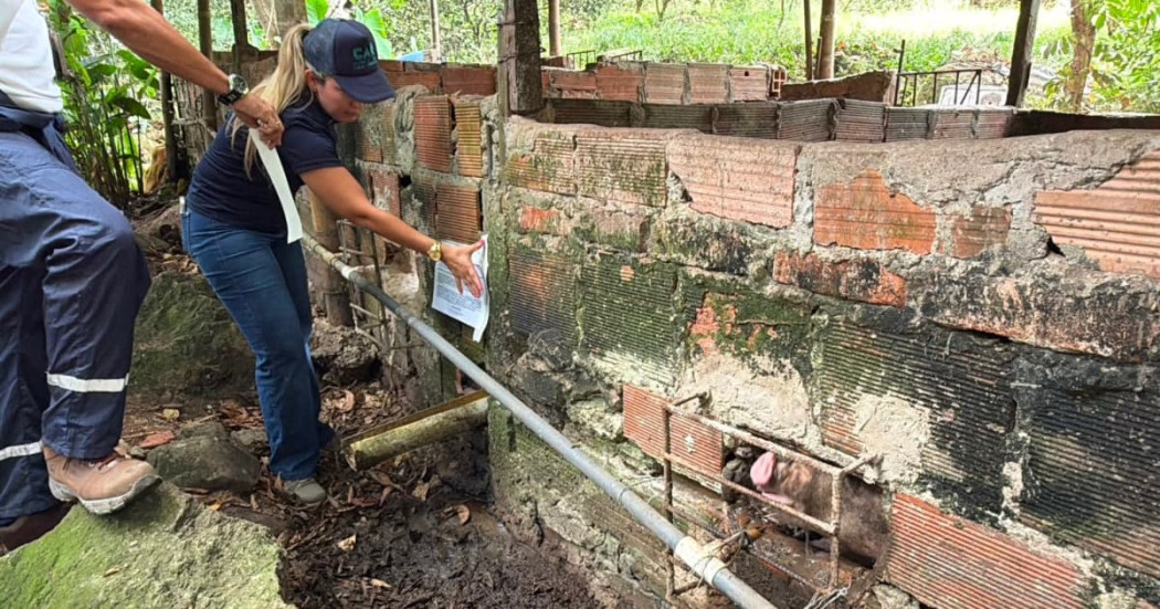 Foto del operativo de suspensión de la CAR Cundinamarca de granja porcícola en el municipio de Nilo por contaminación