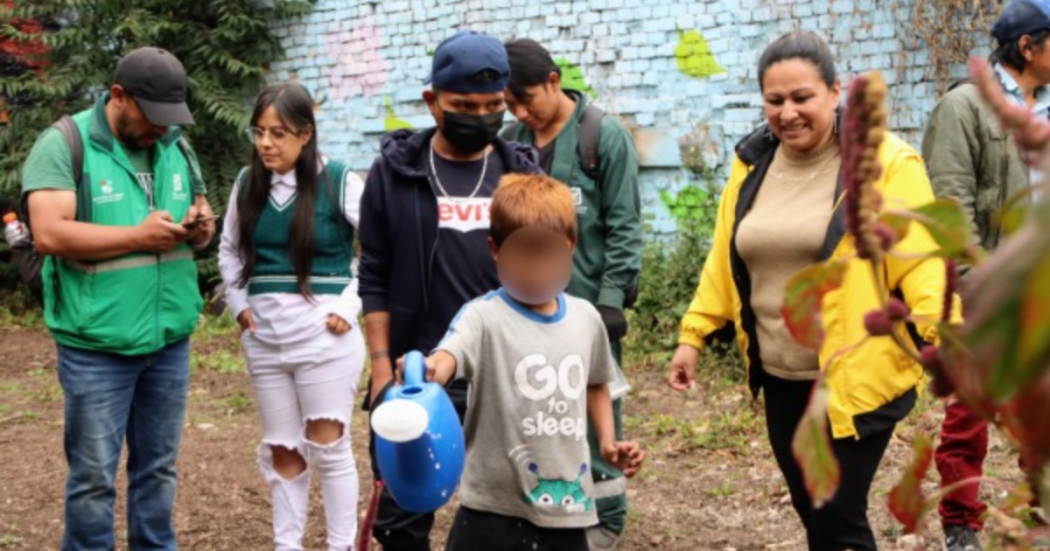 Imagen de un niño regando plantas en una huerta