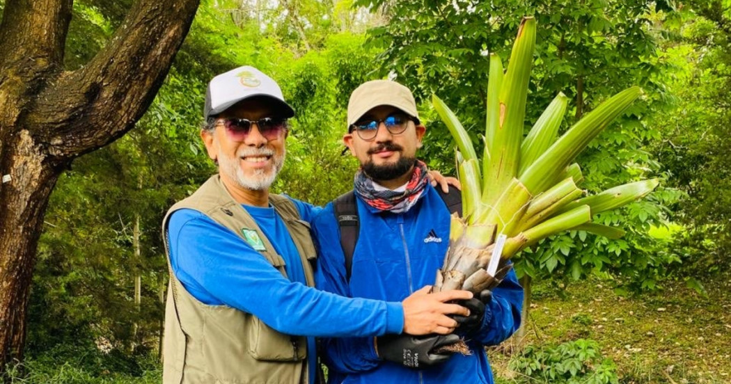Dos personas sostienen bromelia durante jornada de siembra de bromelias del Jardín Botánico en bosque urbano Brazo Salitre