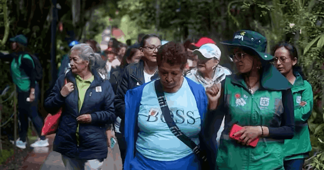 Participantes recorren sendero ecológico del Jardín Botánico de Bogotá durante la primera jornada de diálogo ciudadano.