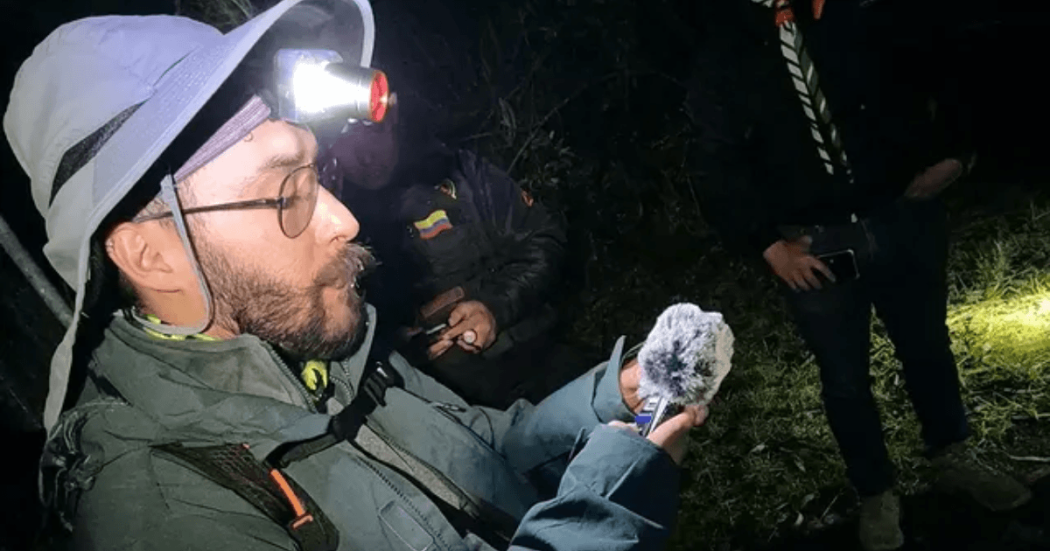 Participante observa una polilla durante jornada nocturna de monitoreo de biodiversidad en Bogotá, utilizando linterna frontal y equipos de registro en un área natural.