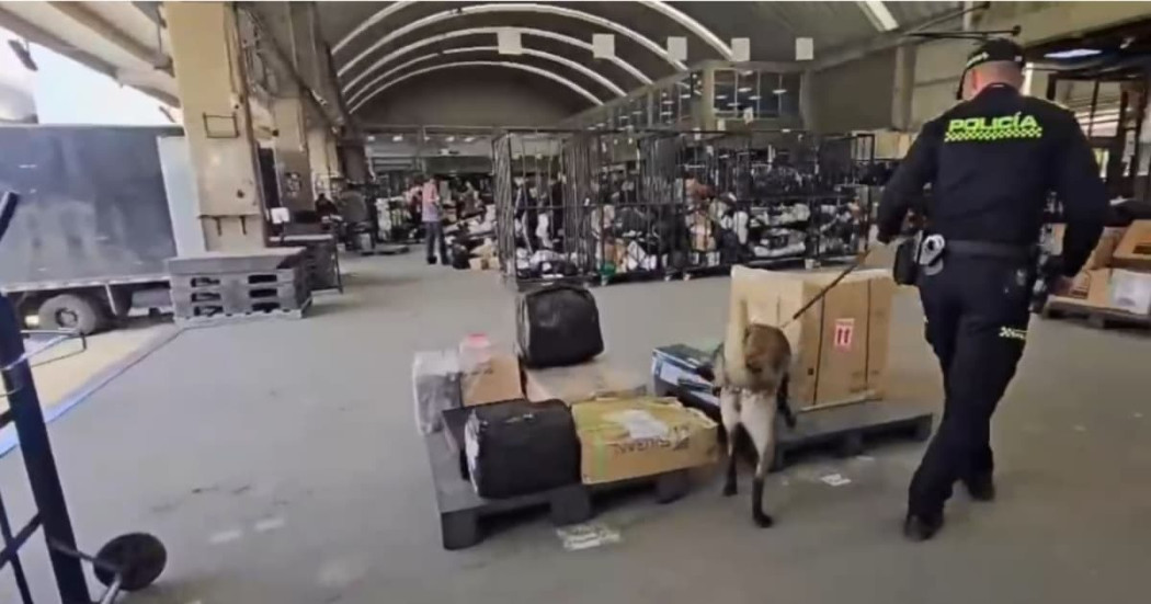 Un Policía con un perro revisando unas cajas 