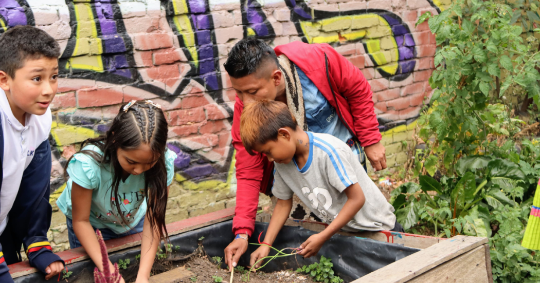 Imagen de niños y niñas viendo una huerta