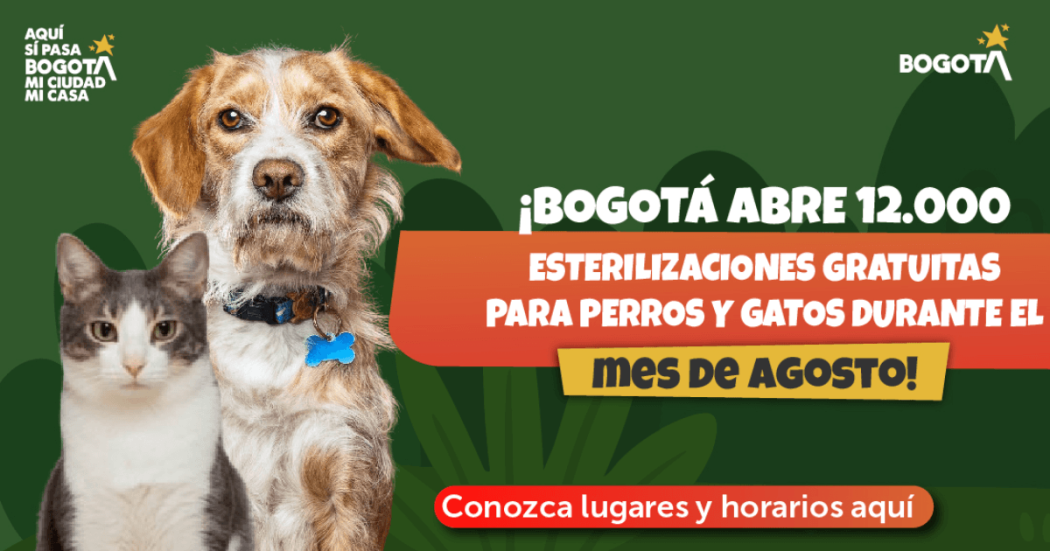 Pieza gráfica con perro y gato y texto que dice: “¡Bogotá abre 12.000 esterilizaciones gratuitas para perros y gatos durante el mes de agosto! Conozca lugares y horarios aquí”.