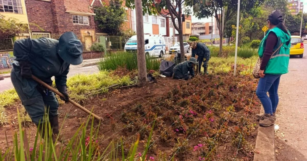 Personal del Jardín Botánico realiza labores de recuperación y mantenimiento floral en jardinera del barrio Palermo.