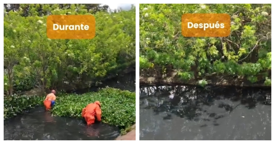 Foto que muestra personas limpiando el Humedal Jaboque en Bogotá.