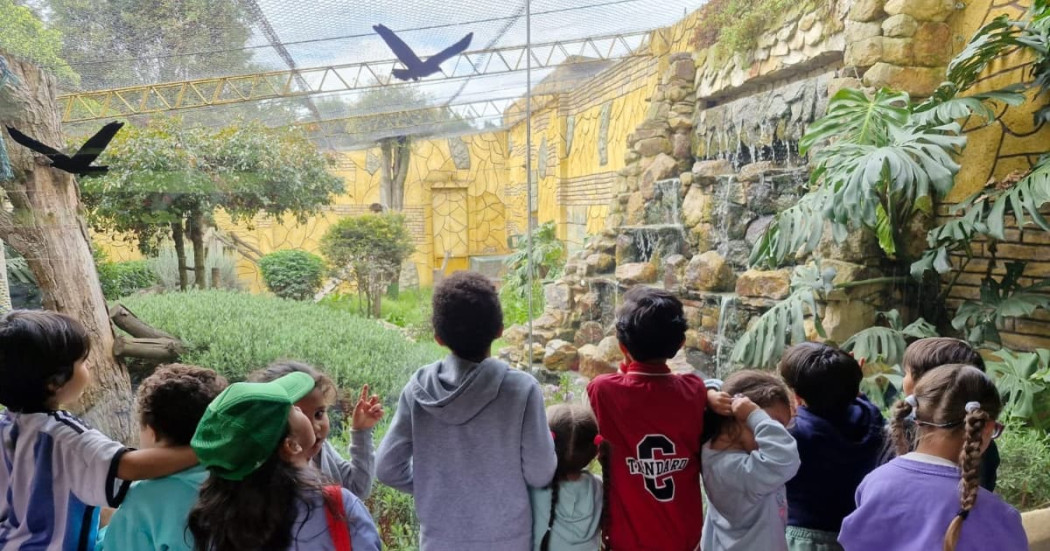 Niñas y niños de Centros Proteger visitando el Parque Jaime Duque