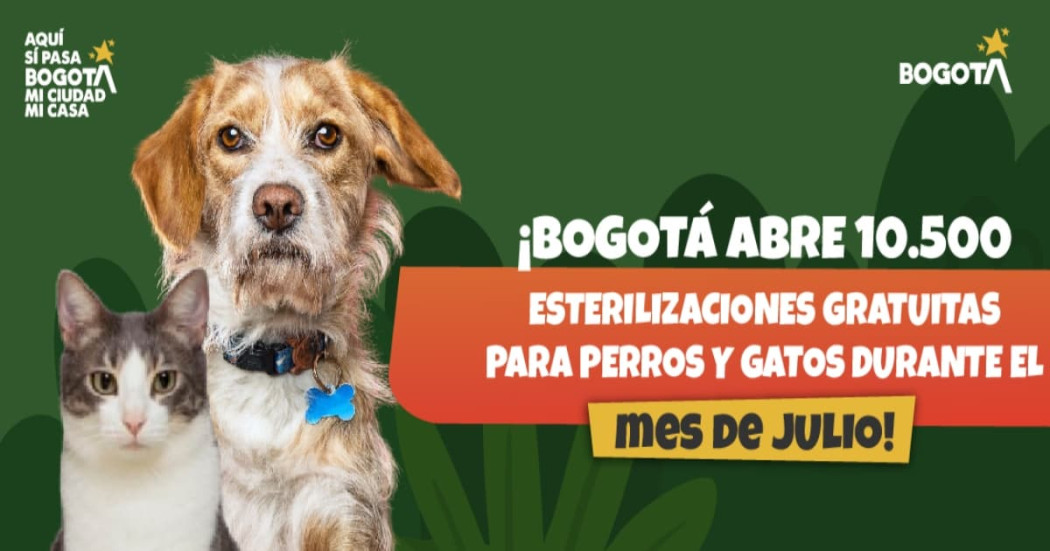 Perro y gato junto a pieza gráfica con texto literal: “¡Bogotá abre 10.500 esterilizaciones gratuitas para perros y gatos durante el mes de julio!”