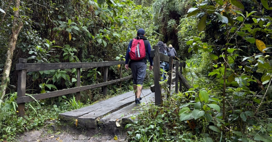 Foto que muestra personas caminando por un sendero ecológico