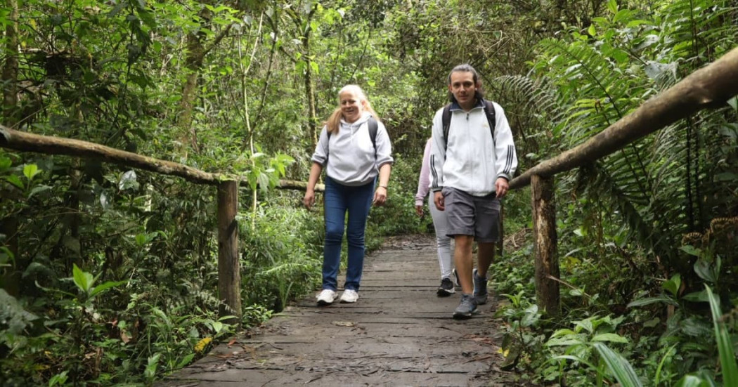 Participantes recorren sendero ecológico en bosque de Bogotá durante caminata ecológica organizada por la Secretaría Distrital de Ambiente.