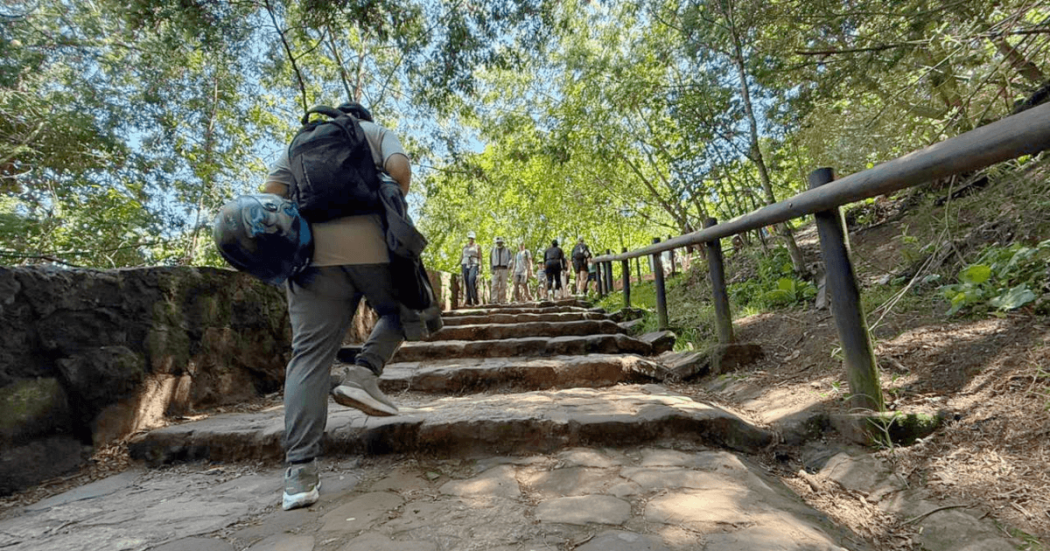 Personas ascienden por el sendero peatonal de Monserrate en Bogotá, recorriendo escalones rodeados de vegentación.