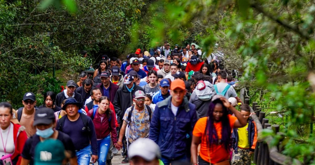 Multitud numerosa avanza por un sendero peatonal estrecho rodeado de vegetación densa y árboles altos, en un entorno natural montañoso. Las personas caminan en fila y en grupos compactos