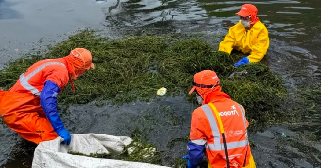 Foto que muestra tres personas con el uniforme de Aguas de Bogotá limpiando un cuerpo de agua