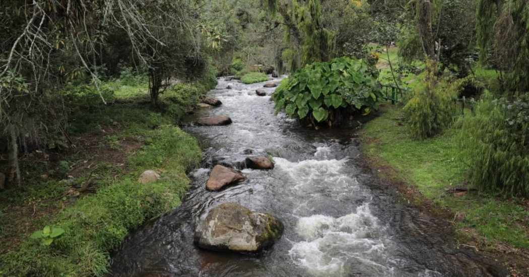 Foto de un río en las montañas de Cundinamarca.