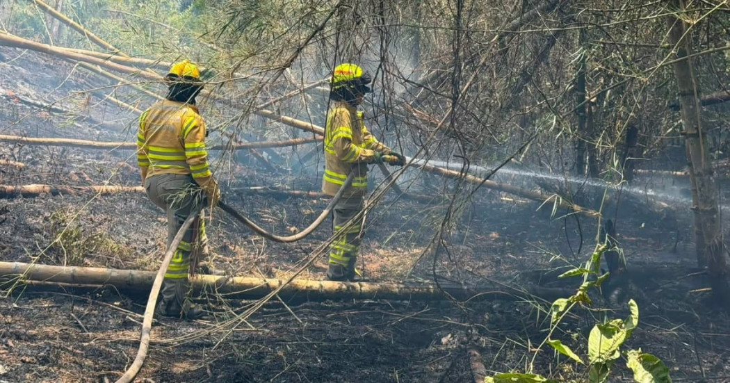Foto de integrantes del Cuerpo de Bomberos de Bogotá apoyando labores de extinción de incendios forestales en Tolima.