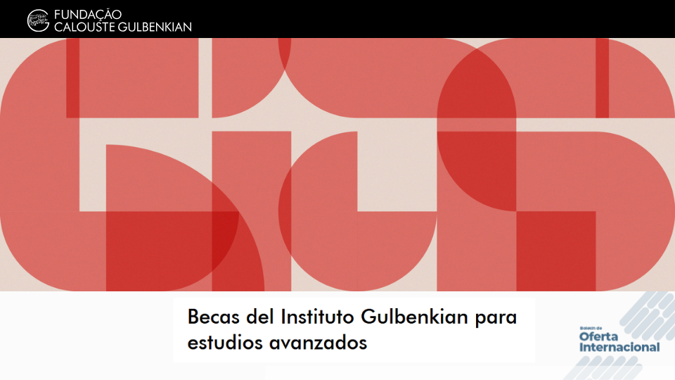 Investigador desarrollando proyecto académico internacional