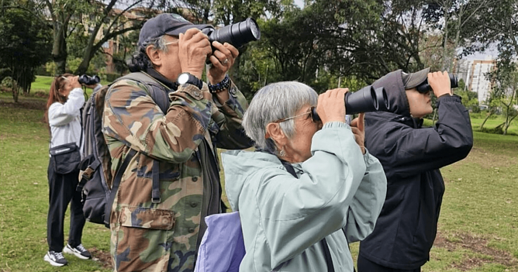 Grupo de personas observa aves con binoculares durante una jornada de avistamiento en un parque de Bogotá.