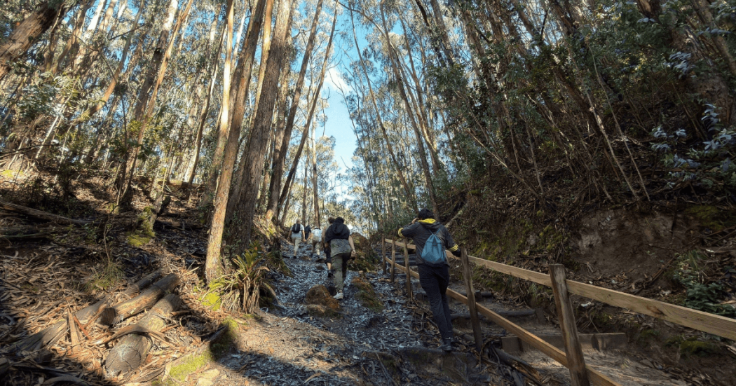 Foto que muestra un Sendero Ecológico, árboles y personas caminando 