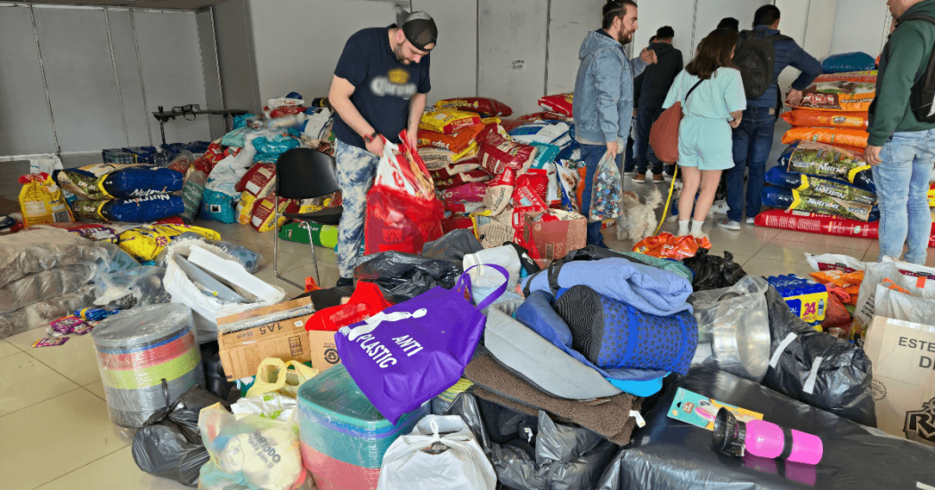Centro de acopio en Corferias con donaciones para animales afectados por el sismo.