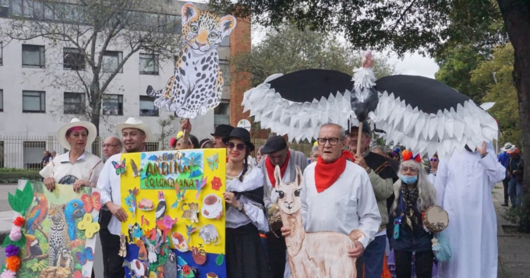 Adultos mayores en carnaval en Bogotá.