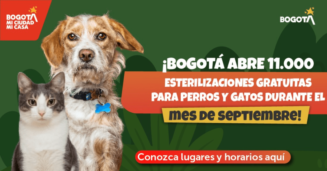 Pieza gráfica con ilustraciones de un perro y un gato sobre fondo verde con mensaje que dice: ´¡Bogotá abre 11.000 esterilizaciones gratuitas para perros y gatos durante el mes de septiembre!´.