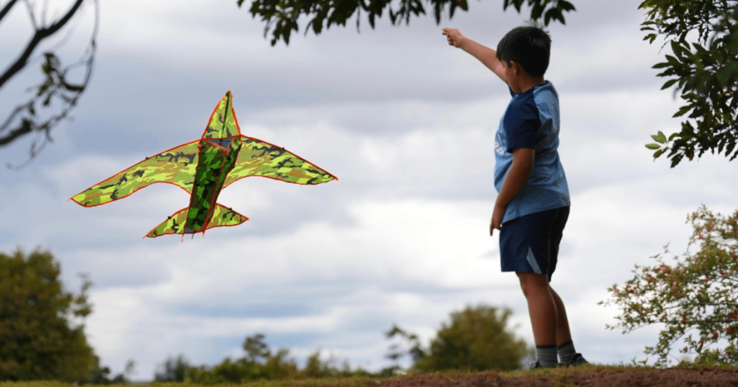 Persona eleva una cometa con forma de avión durante una jornada al aire libre en Bogotá bajo un cielo nublado.