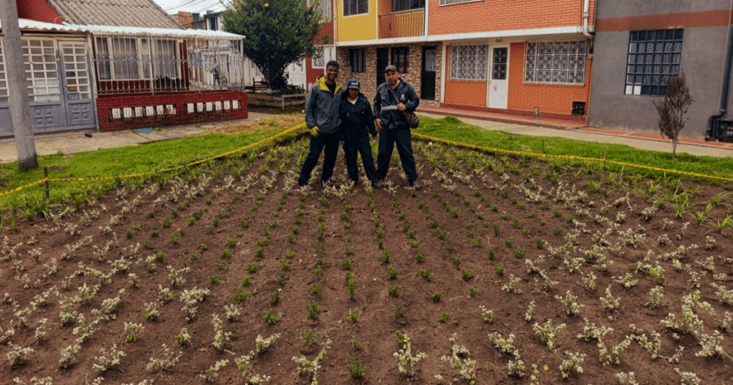 Operarios del Jardín Botánico de Bogotá exhiben la nueva jardinera del barrio Quirigua de la localidad de Engativá