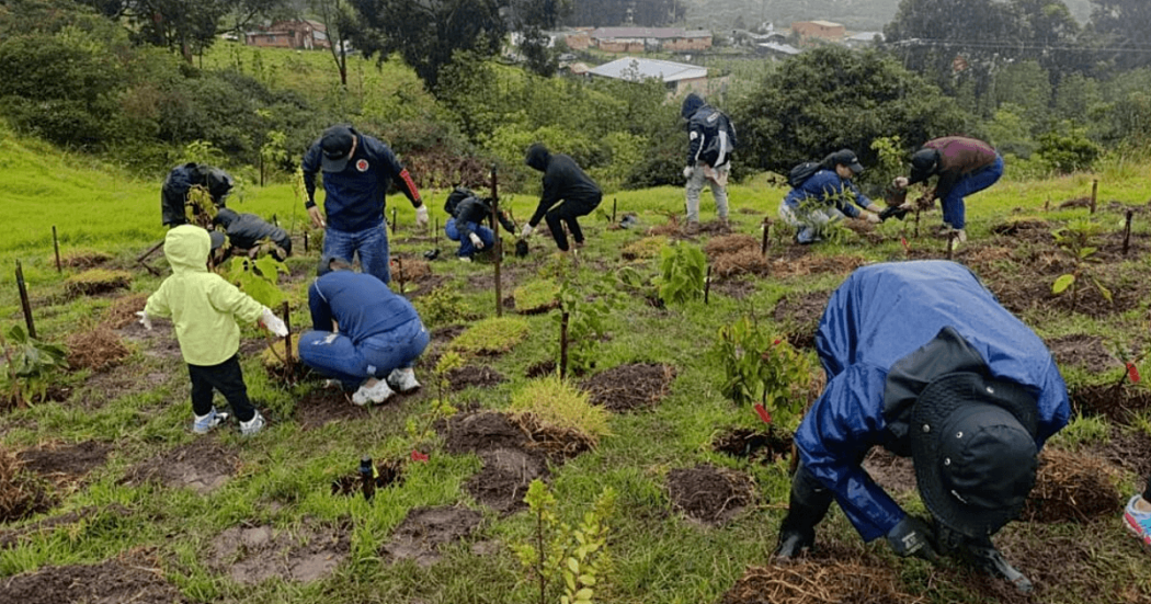 Personas participan en una jornada de restauración ecológica en el Parque Arqueológico y del Patrimonio Cultural de Usme.