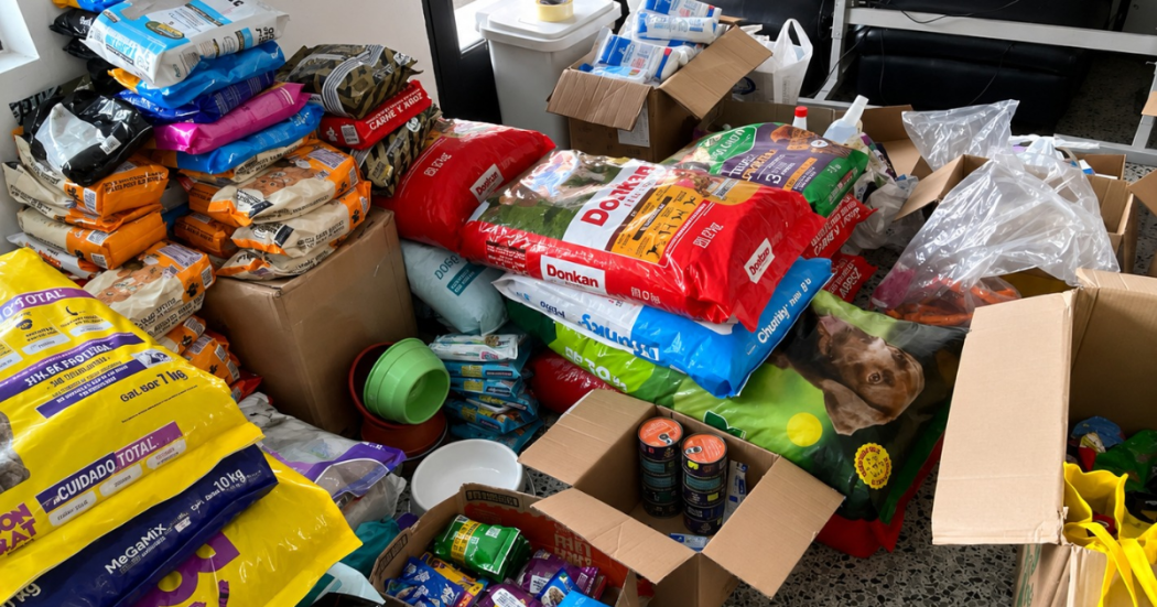 Foto de insumos y alimentos para animales de compañía