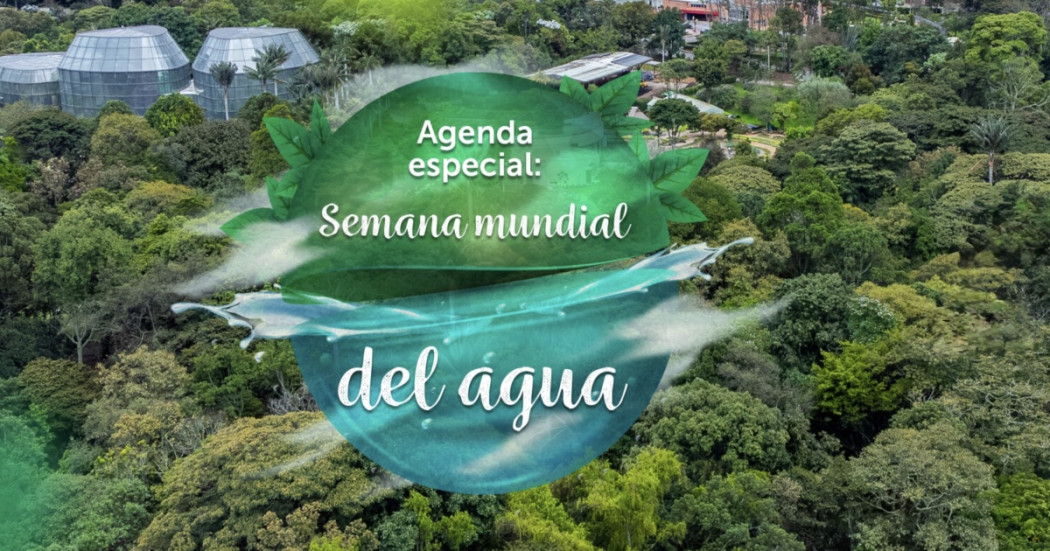 Pieza gráfica sobre la Semana Mundial del Agua con vista aérea del Jardín Botánico de Bogotá y sus domos de colección vegetal. En el centro aparece el texto: ´Agenda especial: Semana mundial del agua´.