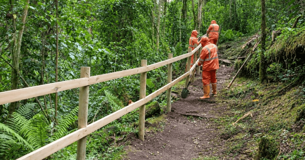 Foto que muestra tres personas instalando barandas en madera en un sendero ecológico 