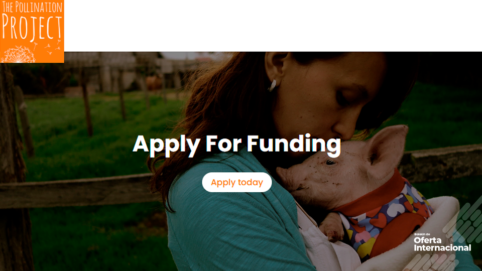 Financiación para iniciativas sociales y comunitarias de Bogotá