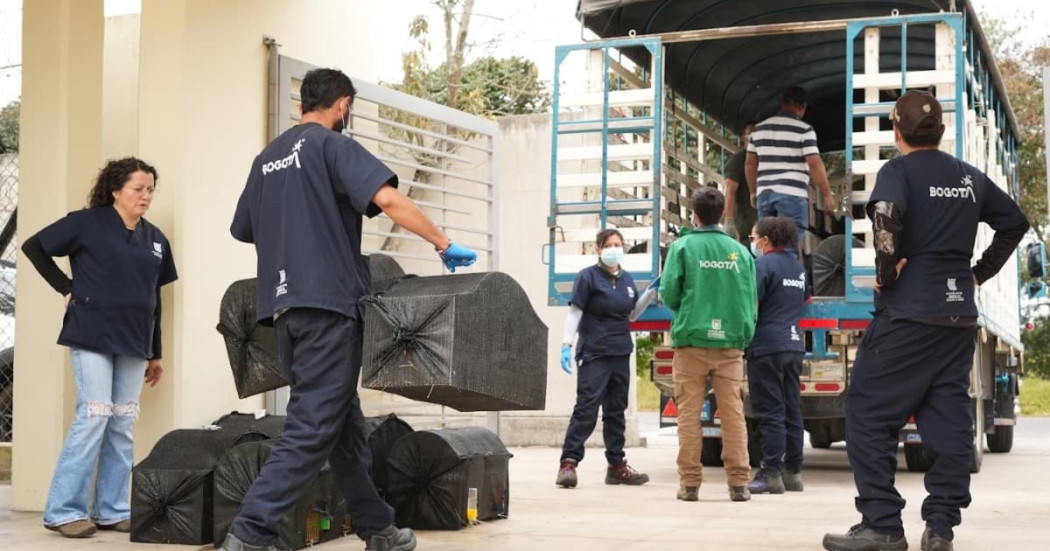 Foto del operativo en Bogotá que devolvió a la vida silvestre 247 animales recuperados.