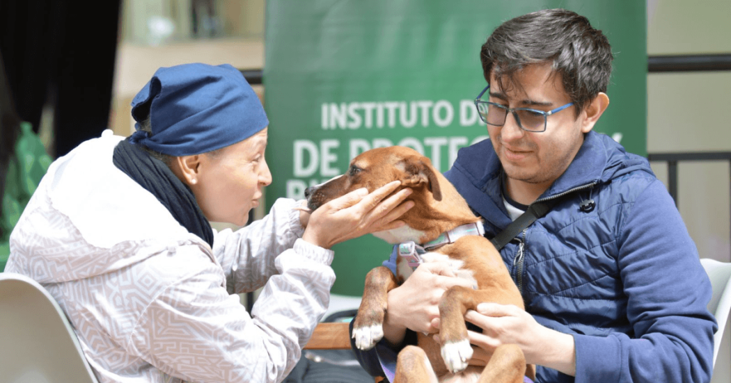 Persona con chaqueta azul sostiene un perro de color café con collar, mientras otra persona acerca el rostro y toma suavemente la cabeza del animal.