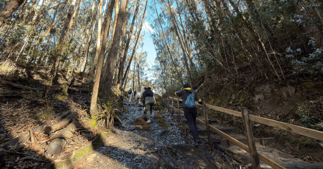 Foto que muestra gente caminando en un sendero ecológico 