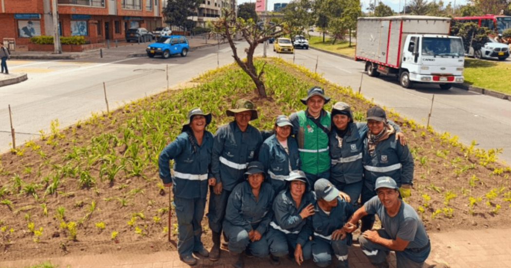 Cuadrilla de jardinería posa en una jardinera urbana junto a plantas ornamentales y árboles jóvenes; al fondo se observan una vía, vehículos y edificaciones.