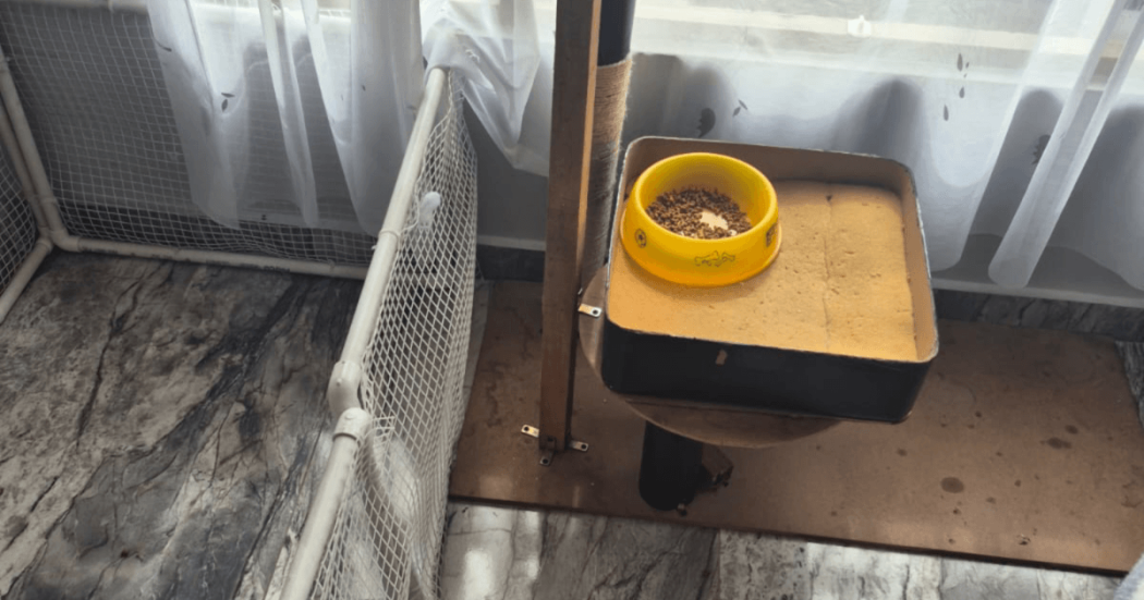 Recipiente amarillo con agua sobre una base de madera junto a una estructura metálica de malla, en un espacio interior con piso gris.