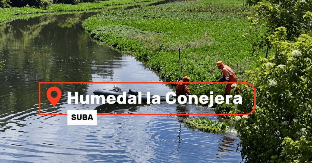Foto que muestra el Humedal La Conejera 